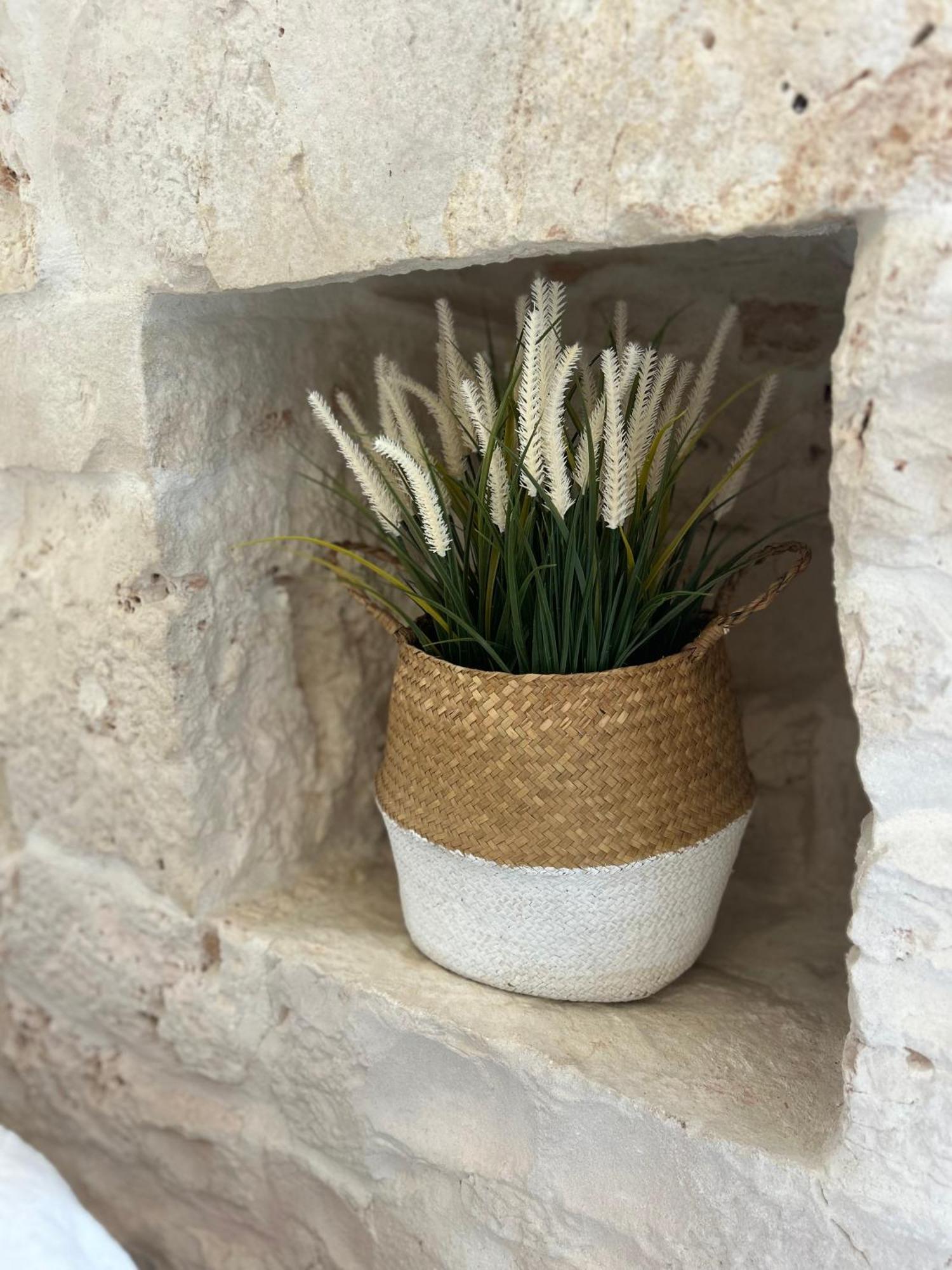 Affittacamere Trulli In Contrada - Monopoli Esterno foto