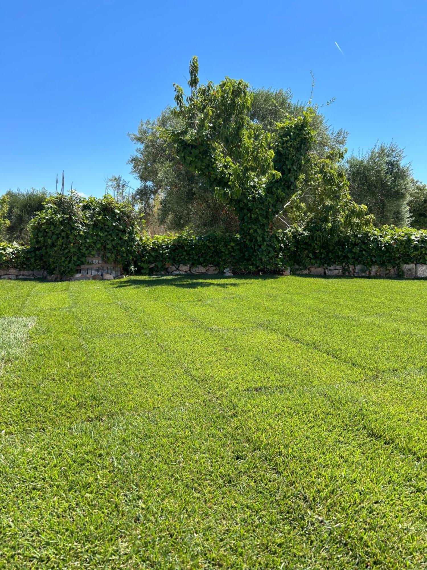 Affittacamere Trulli In Contrada - Monopoli Esterno foto