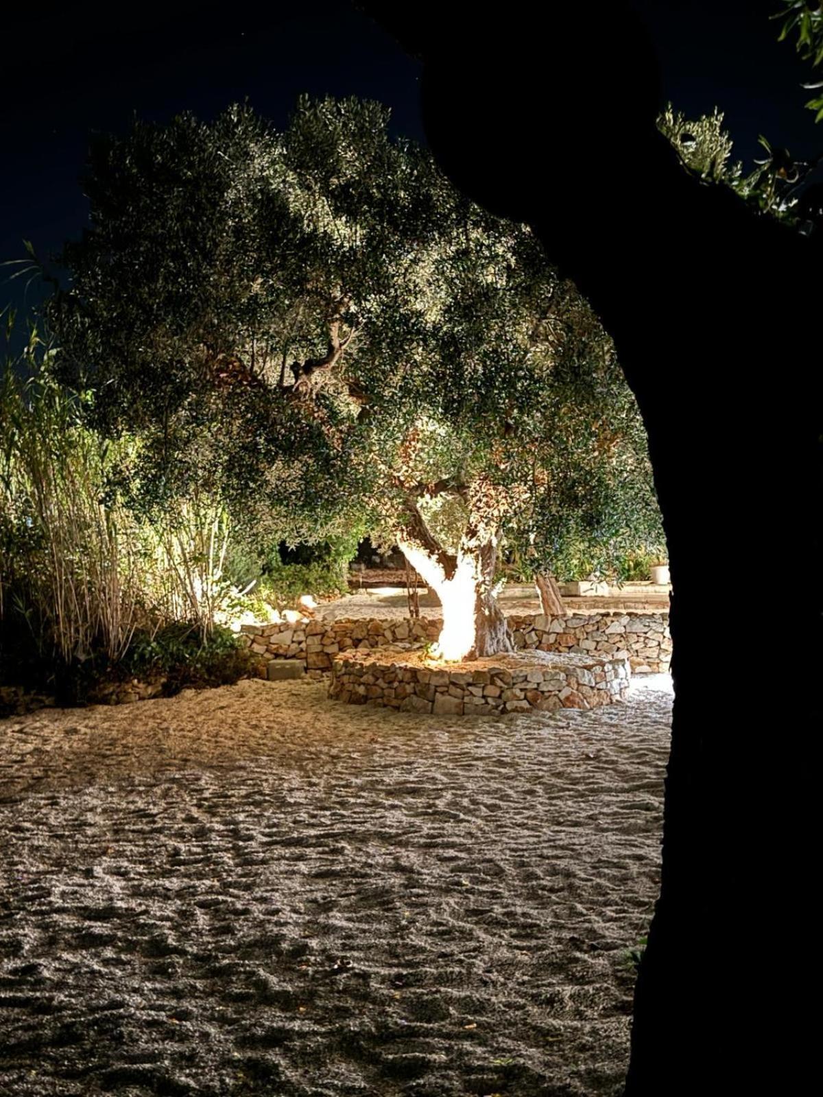 Affittacamere Trulli In Contrada - Monopoli Esterno foto